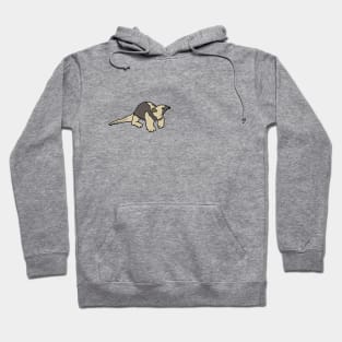 Anteater Hoodie